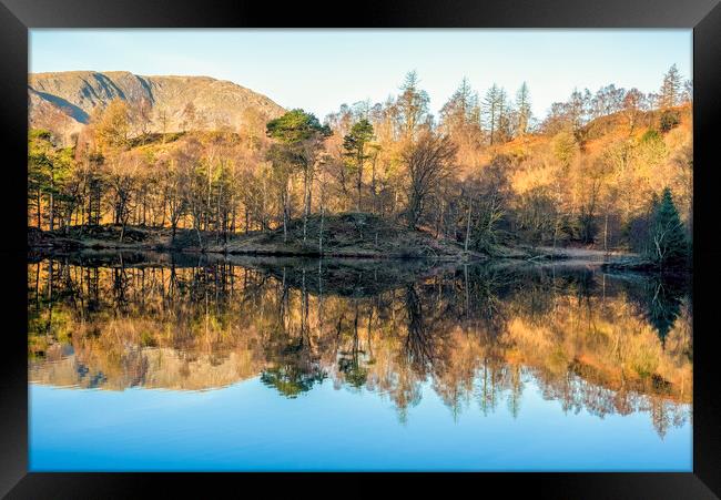 Tarn Hows Lake District National Park Framed Print by Tim Hill