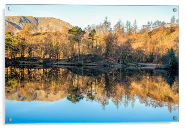 Tarn Hows Lake District National Park Acrylic by Tim Hill