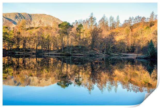 Tarn Hows Lake District National Park Print by Tim Hill