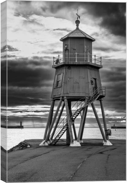 Herd Groyne Black and White Canvas Print by Tim Hill