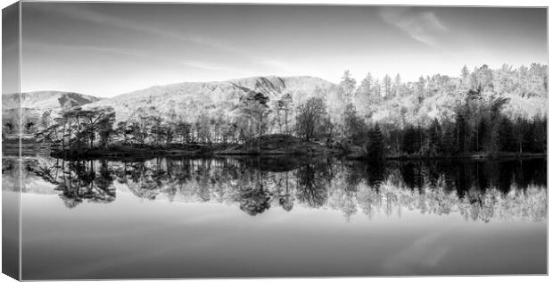 Tarn Hows Reflections Panoramic Canvas Print by Tim Hill