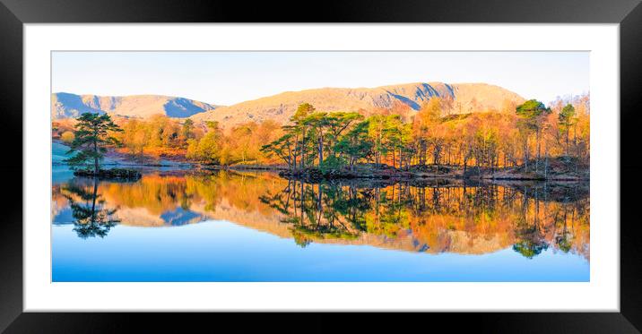 Tarn Hows Reflections Panoramic Framed Mounted Print by Tim Hill