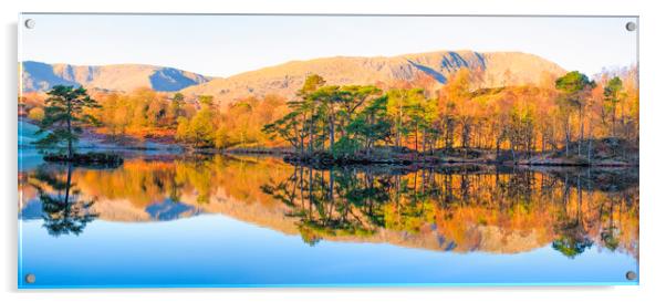 Tarn Hows Reflections Panoramic Acrylic by Tim Hill