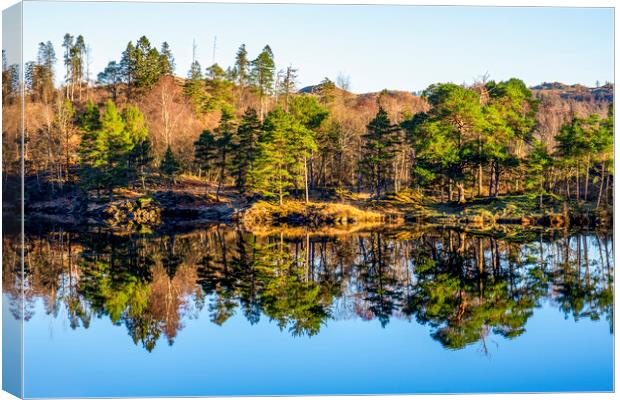 Tarn Hows Reflections: English Lake District Canvas Print by Tim Hill