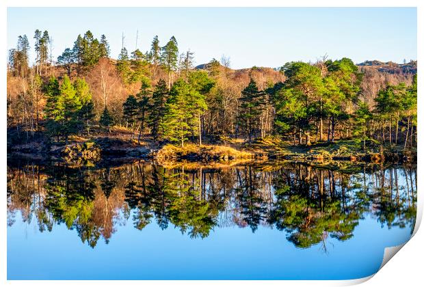 Tarn Hows Reflections: English Lake District Print by Tim Hill