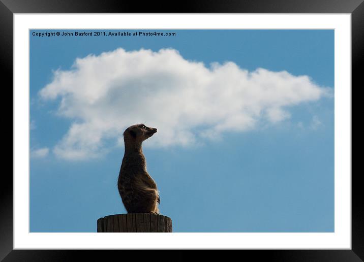 The Lookout Framed Mounted Print by John Basford