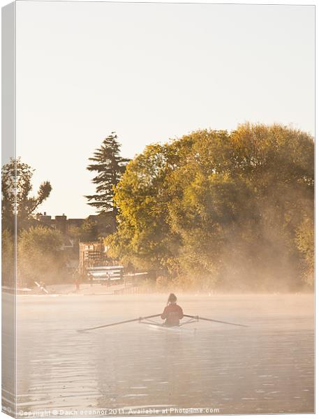 Henley on Thames Rower Canvas Print by Dawn O'Connor