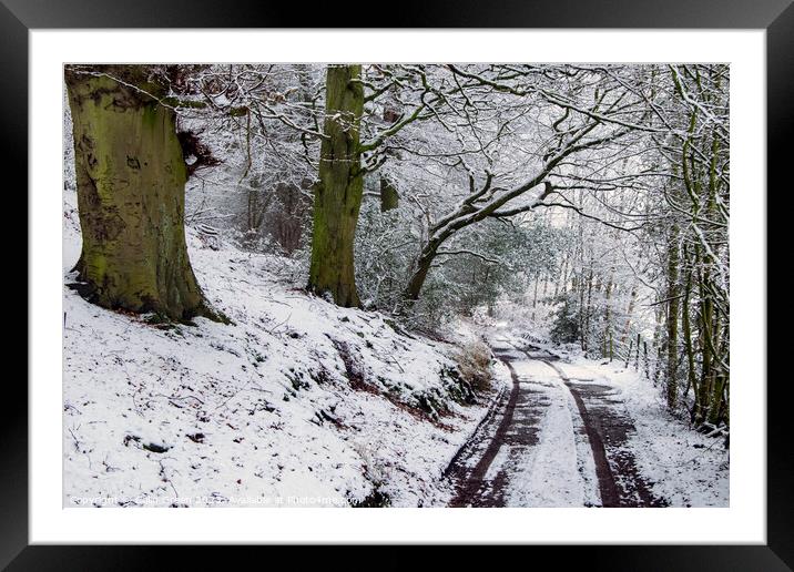 Snowy Woodland Track Framed Mounted Print by Colin Green