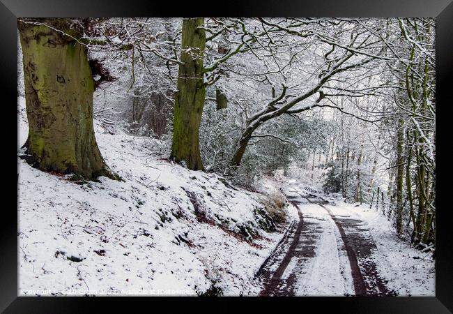 Snowy Woodland Track Framed Print by Colin Green