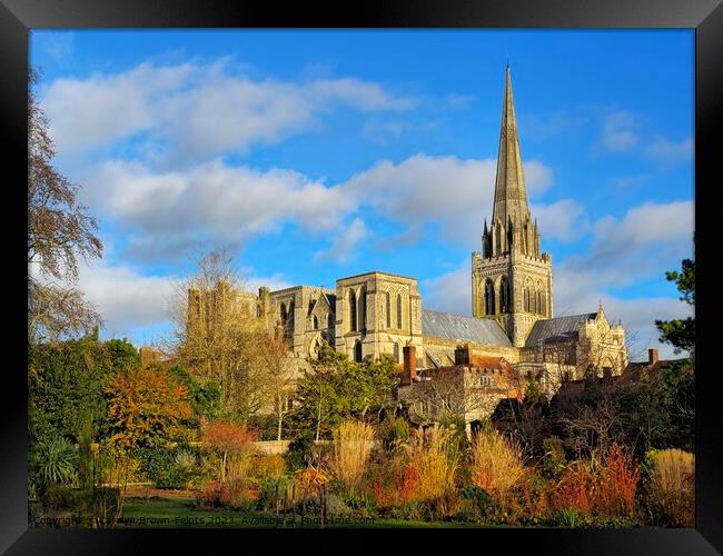 Chichester Cathedral Framed Print by Carolyn Brown-Felpts