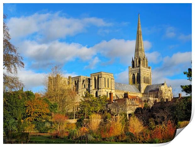 Chichester Cathedral Print by Carolyn Brown-Felpts