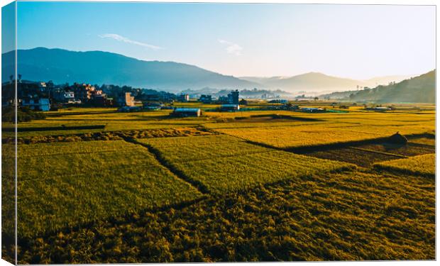 aerial view of paddy farm field Canvas Print by Ambir Tolang