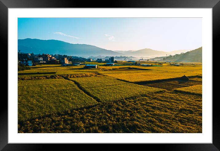 aerial view of paddy farm field Framed Mounted Print by Ambir Tolang