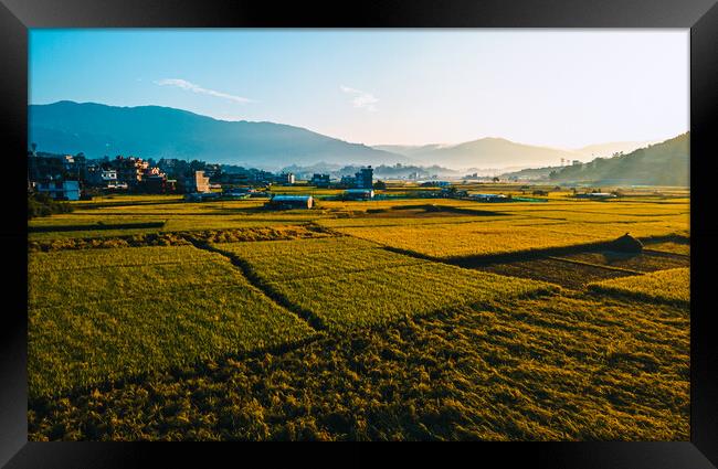 aerial view of paddy farm field Framed Print by Ambir Tolang