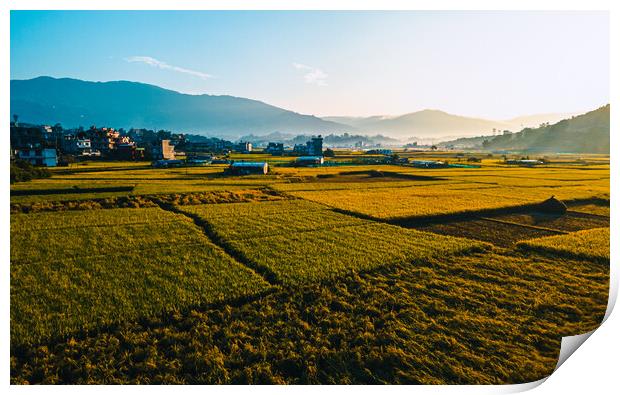 aerial view of paddy farm field Print by Ambir Tolang