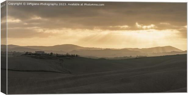 Tuscan Earth Canvas Print by DiFigiano Photography