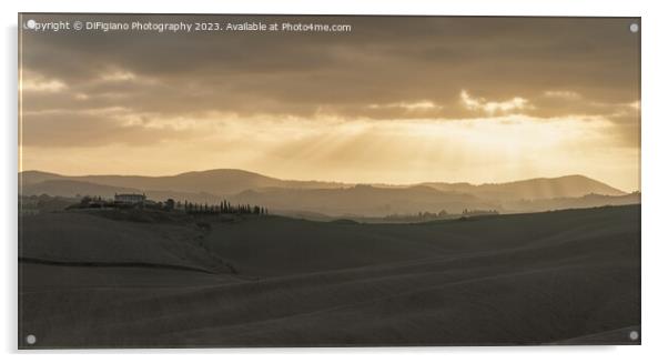 Tuscan Earth Acrylic by DiFigiano Photography