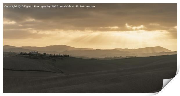 Tuscan Earth Print by DiFigiano Photography