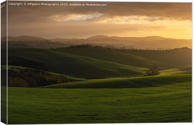 Tuscan Sunrise Canvas Print by DiFigiano Photography