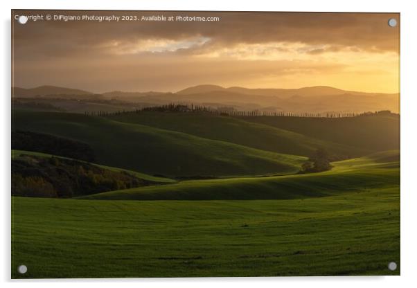 Tuscan Sunrise Acrylic by DiFigiano Photography