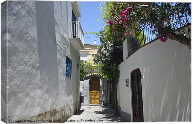 A passageway Canvas Print by Steven Plowman