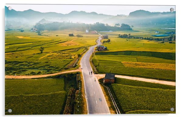 aerial view of paddy farmland Acrylic by Ambir Tolang