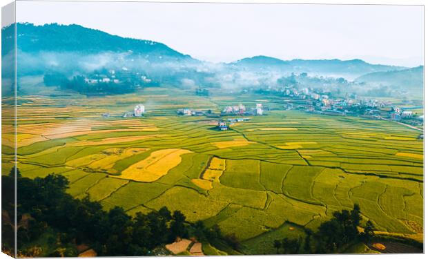 aerial view of paddy farmland Canvas Print by Ambir Tolang