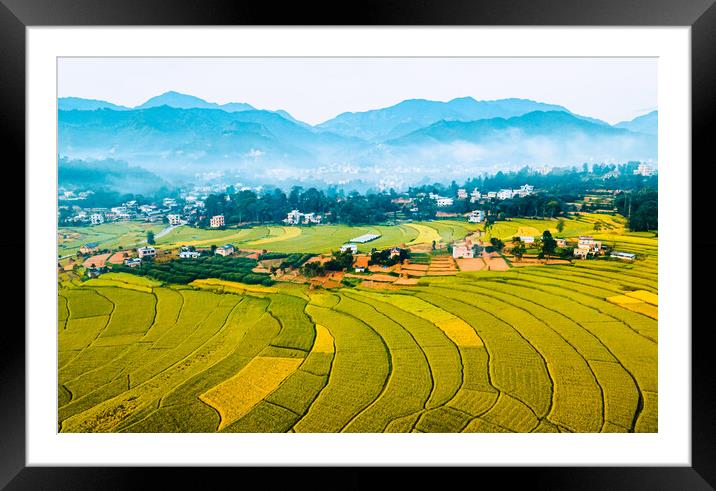 aerial view of paddy farmland Framed Mounted Print by Ambir Tolang