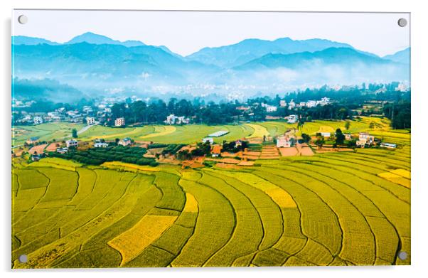 aerial view of paddy farmland Acrylic by Ambir Tolang