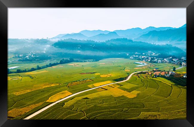aerial view of paddy farmland Framed Print by Ambir Tolang