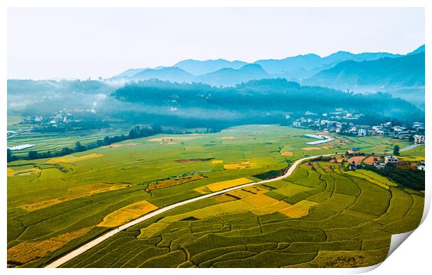 aerial view of paddy farmland Print by Ambir Tolang