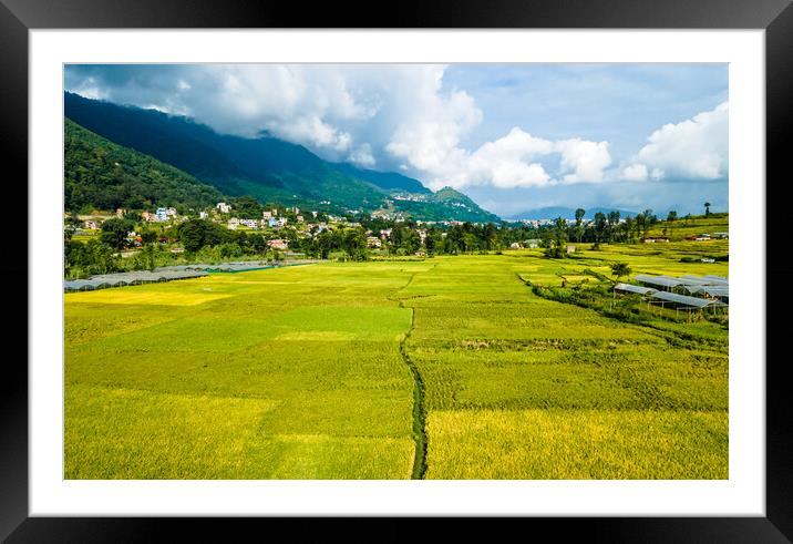landscape view of paddy farmland Framed Mounted Print by Ambir Tolang