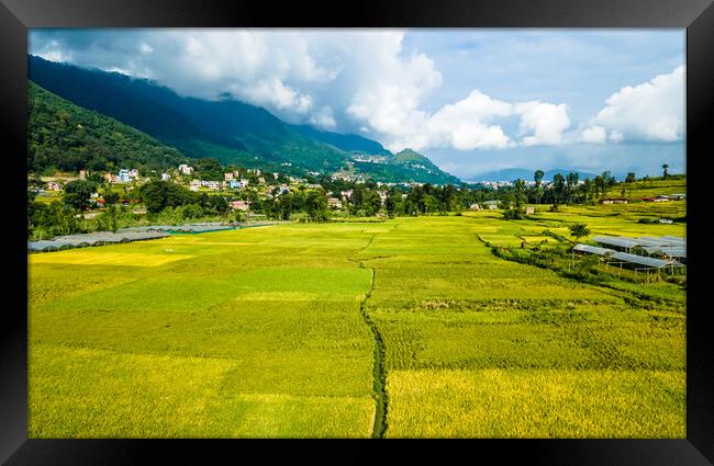 landscape view of paddy farmland Framed Print by Ambir Tolang