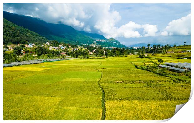 landscape view of paddy farmland Print by Ambir Tolang