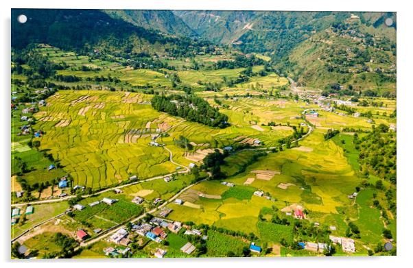 aerial  view of paddy farmland Acrylic by Ambir Tolang