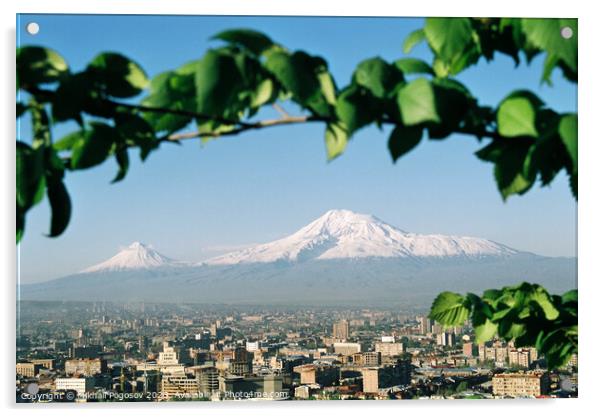 Mountain Ararat. Acrylic by Mikhail Pogosov