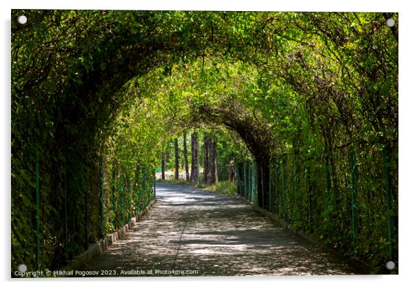 Green tunnel in the garden Acrylic by Mikhail Pogosov