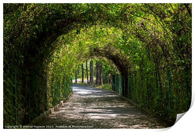 Green tunnel in the garden Print by Mikhail Pogosov