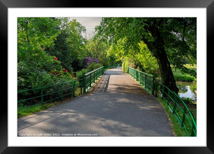 Cast Iron Bridge at People's Park, Halifax Framed Mounted Print by Colin Green