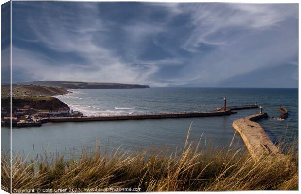 Coastline North from Whitby Piers Canvas Print by Colin Green