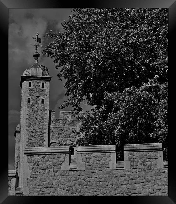 Tower of London Framed Print by radoslav rundic