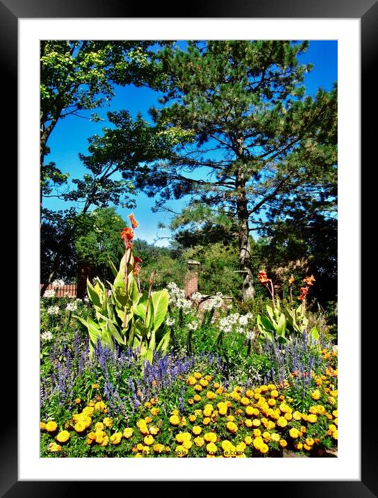 Garden Framed Mounted Print by Stephanie Moore