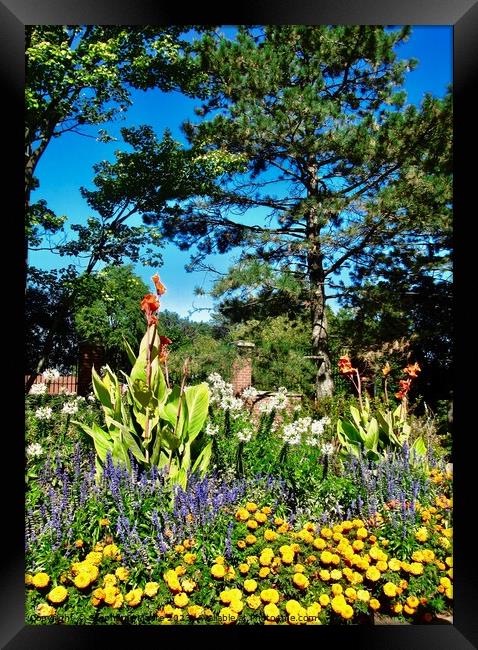 Garden Framed Print by Stephanie Moore