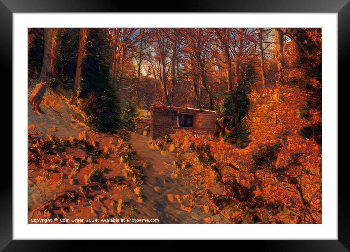 The Shack Framed Mounted Print by Colin Green