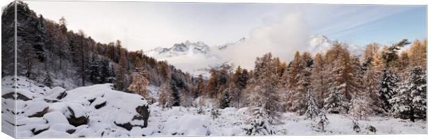 Alpine Trees Valais Zermatt Valley in autumn and winter Switzerl Canvas Print by Sonny Ryse