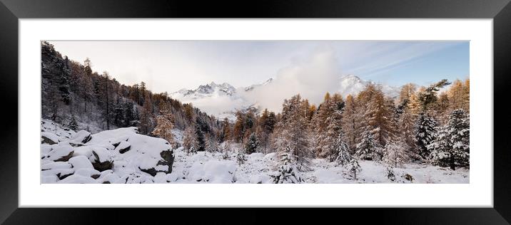 Alpine Trees Valais Zermatt Valley in autumn and winter Switzerl Framed Mounted Print by Sonny Ryse