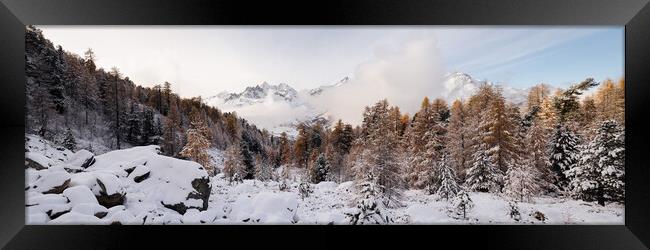 Alpine Trees Valais Zermatt Valley in autumn and winter Switzerl Framed Print by Sonny Ryse