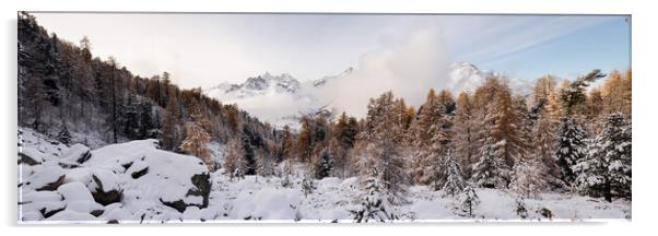 Alpine Trees Valais Zermatt Valley in autumn and winter Switzerl Acrylic by Sonny Ryse