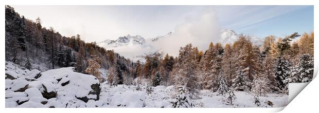 Alpine Trees Valais Zermatt Valley in autumn and winter Switzerl Print by Sonny Ryse