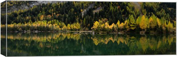 Lac de Derborence in autumn Switzerland Canvas Print by Sonny Ryse